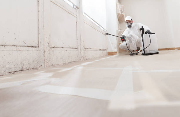 24/7 Emergency Commercial Mold Remediation experts in Lithia, FL