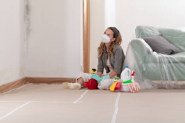 Reliable Commercial Mold Remediation contractor in Lithia, FL by 24 Hour Mold Removal